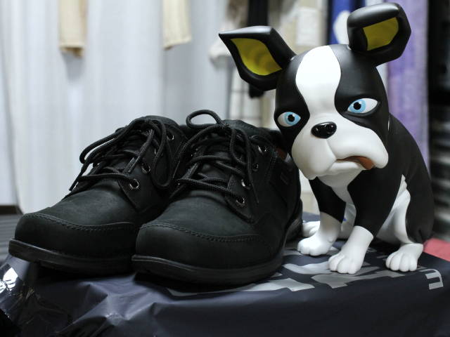 GORETEX15000円の靴