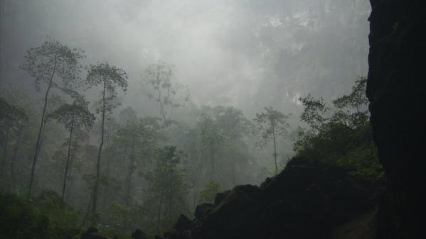 ベトナム中部にある「ソンドン洞窟」は2009年に世界最大の洞窟だということが確認されました。
